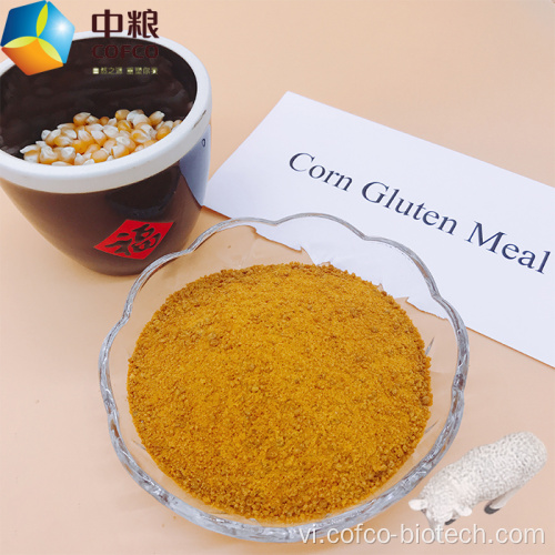 Bữa ăn gluten ngô tại nhà kho